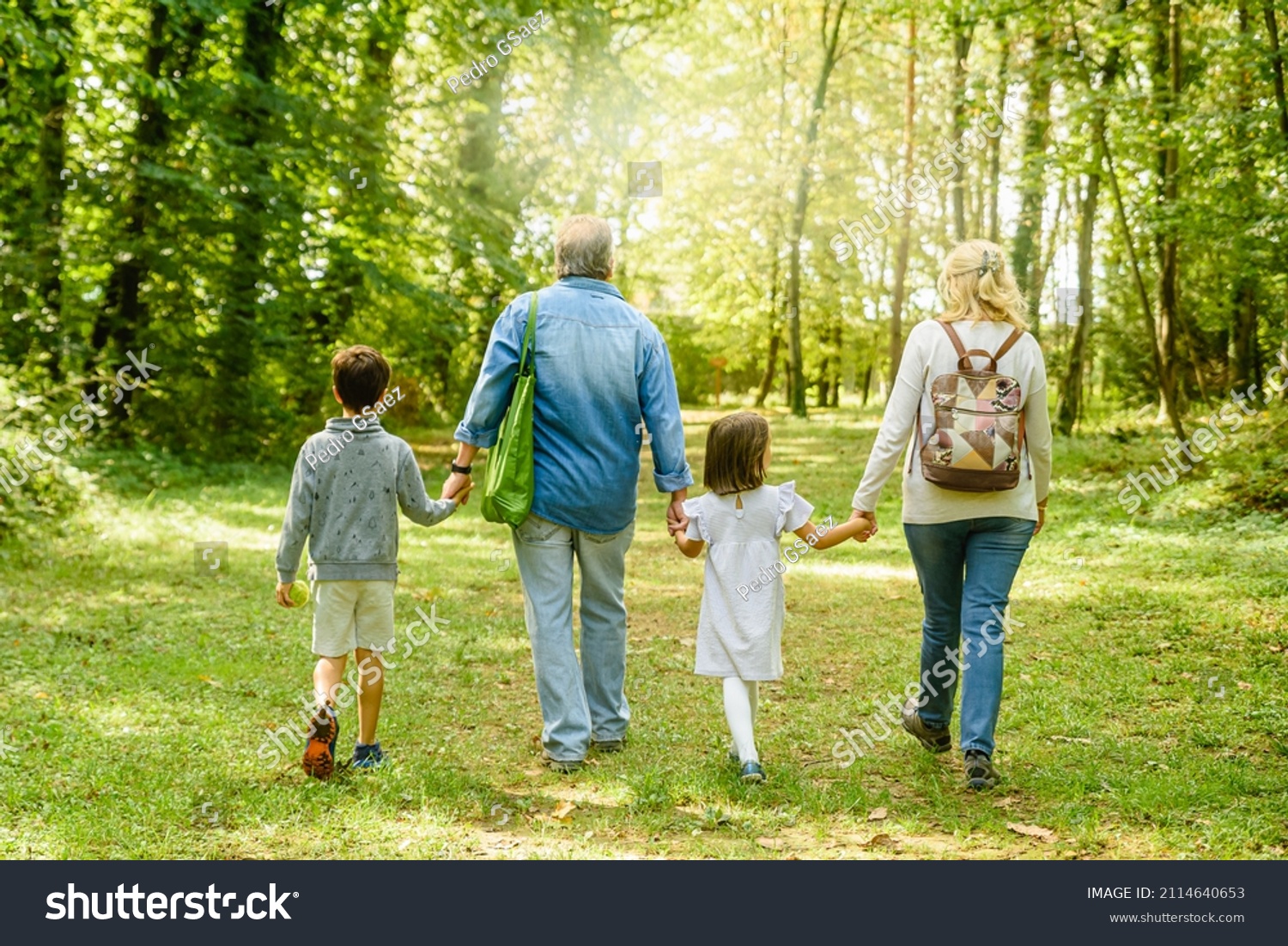 stock-photo-grandchildren-and-grandparents-walking-together-surrounded-by-trees-in-the-park-2114640653